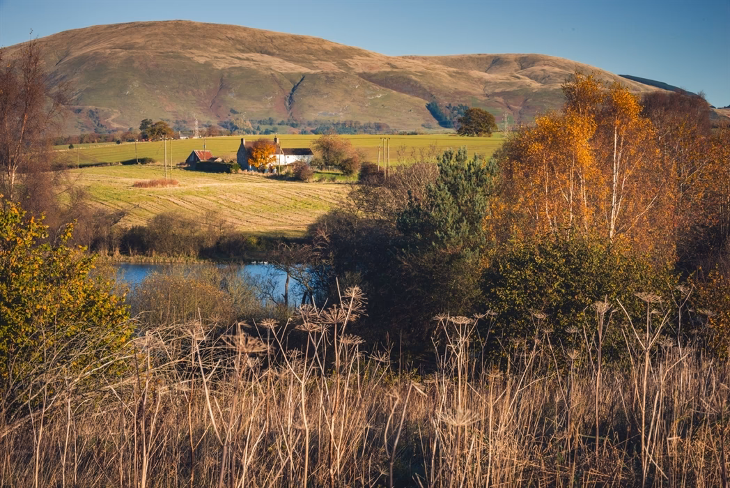 How far is Alva from Alloa?