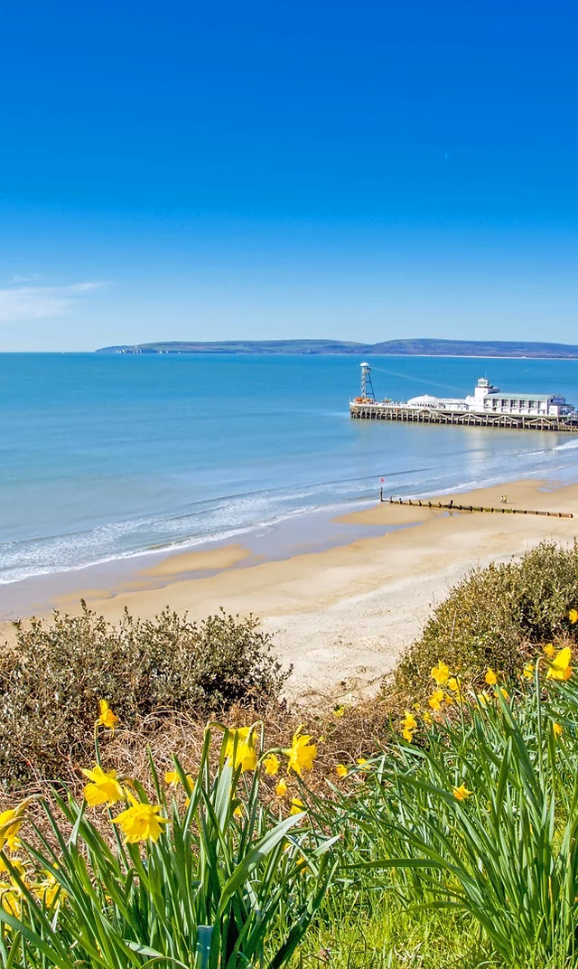 How do I get from Bournemouth to Ringwood?