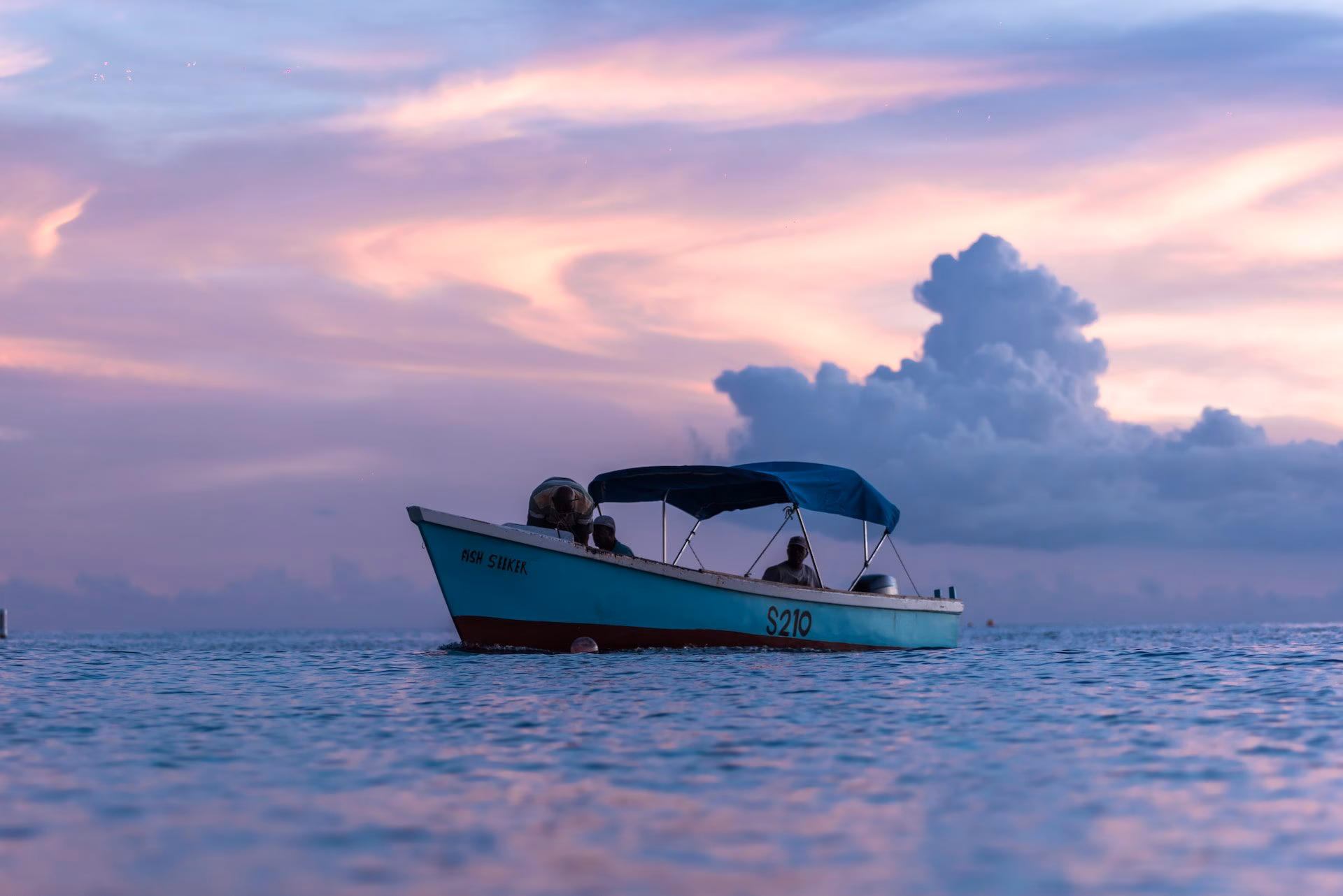 What companies run services between Bridgetown & Holetown Barbados?