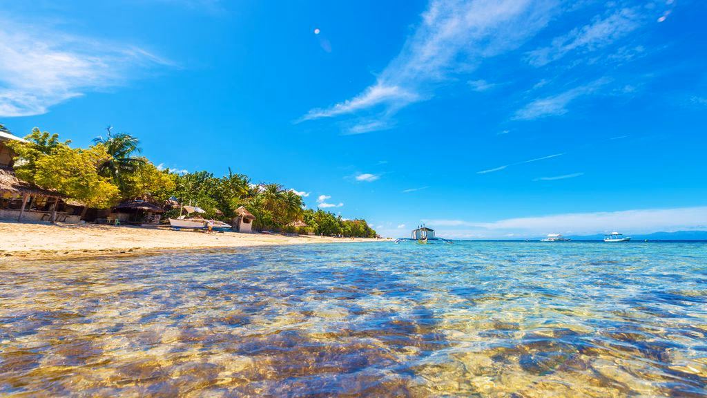 How far is Mactan Cebu Airport from Moalboal?