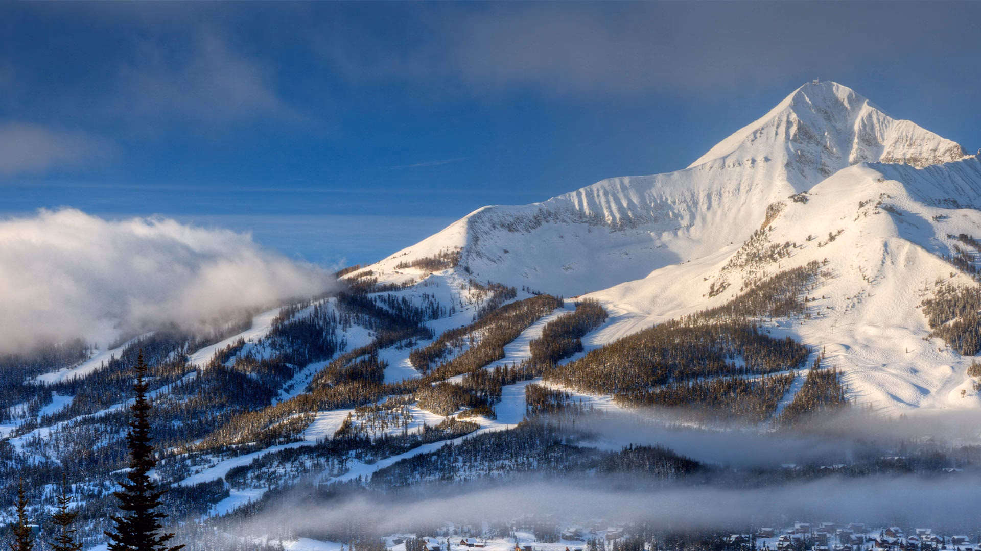 Does Bozeman International Airport have a shuttle service?