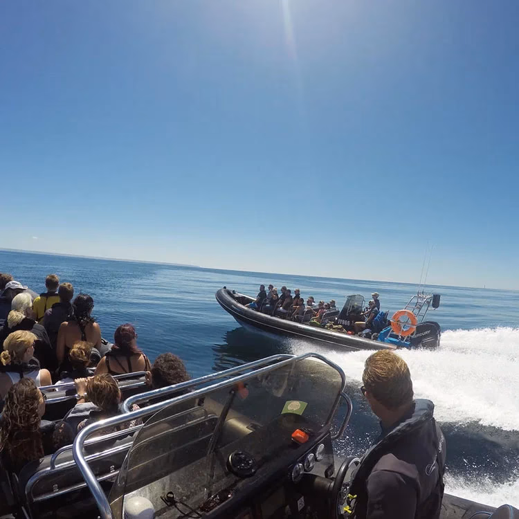 How do you get to Jersey & Guernsey?