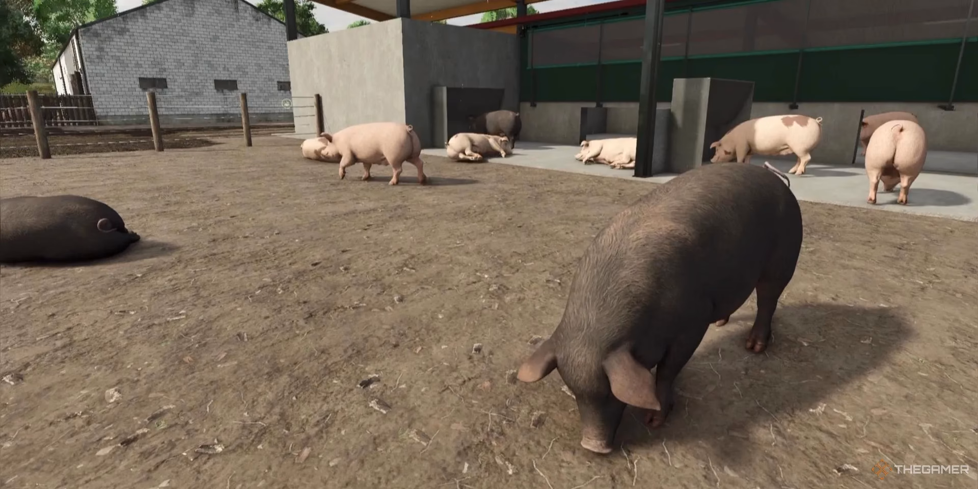 How do I get to piglets Adventure Farm?
