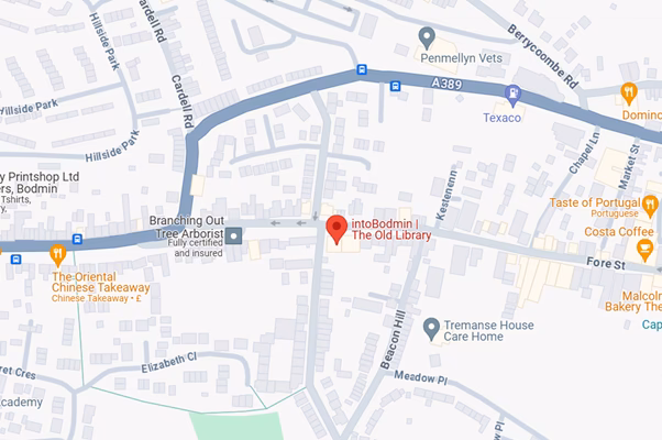 How far is Plymouth from Bodmin by car?