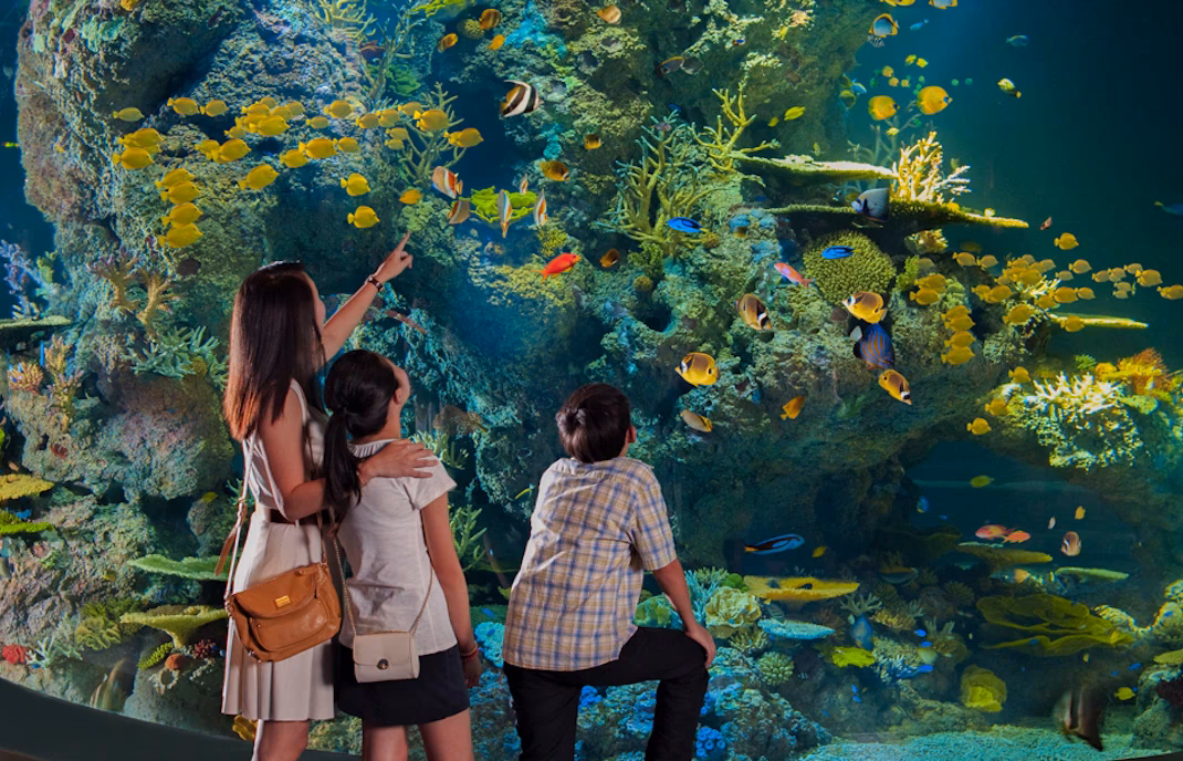 Where is the sea life London Aquarium?