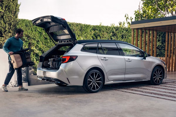 What is a hybrid taxi?