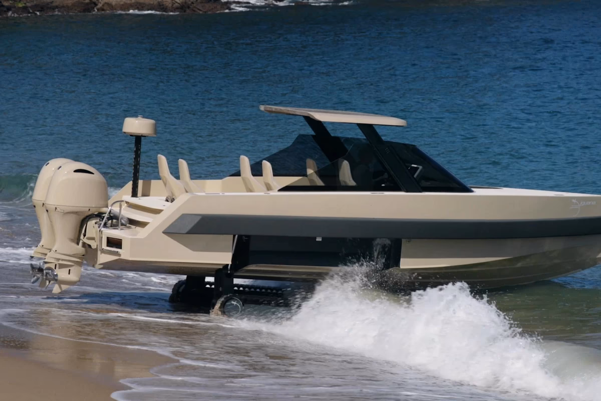 How old is a green tree iguana?