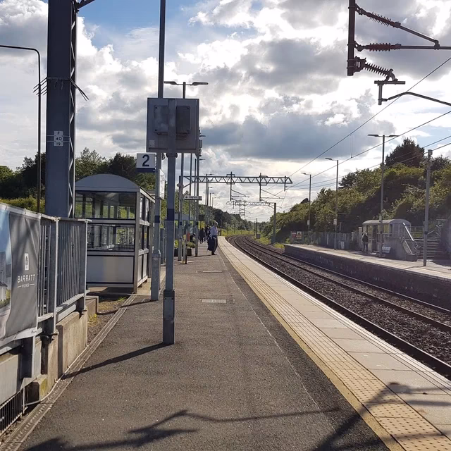 How many results does misterwhat have I found for taxi in Livingston?