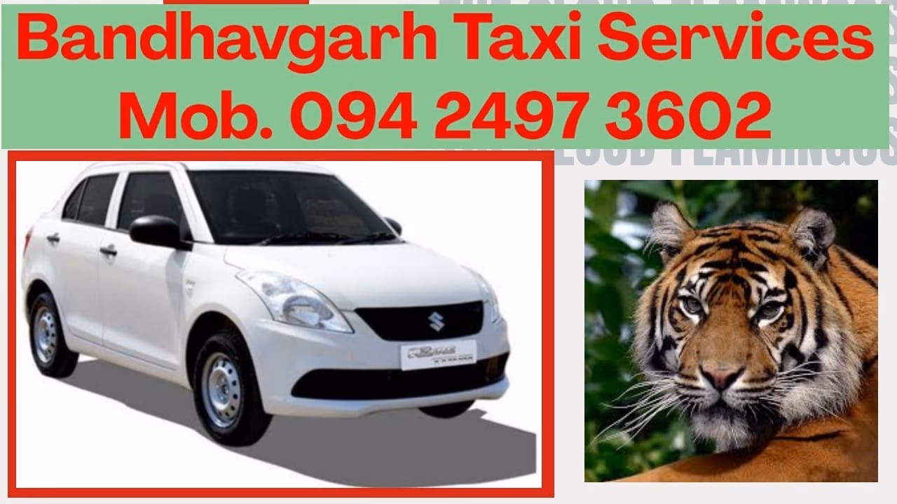 How to go to Bandhavgarh National Park?