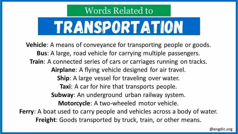What are some essential words & phrases for navigating an airport?