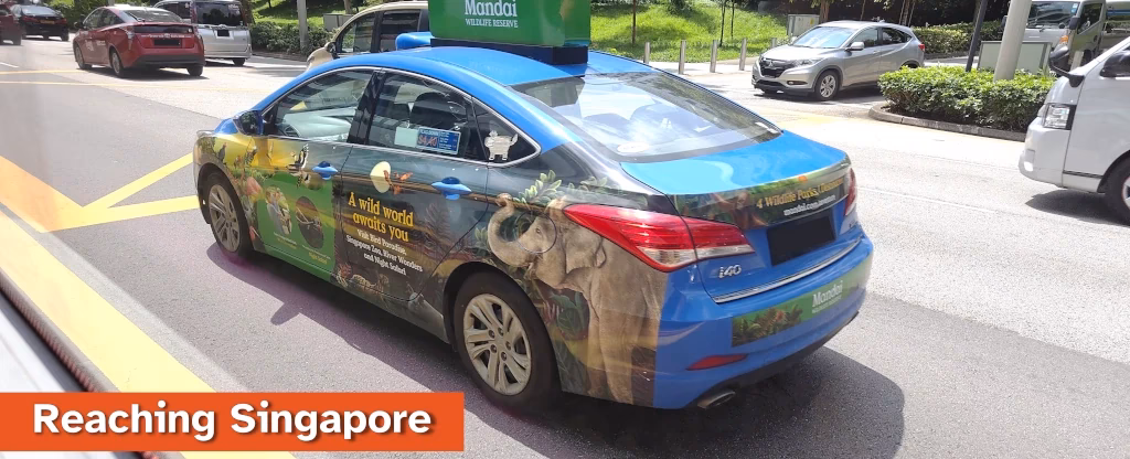 When will Jurong Bird Park reopen in Singapore?