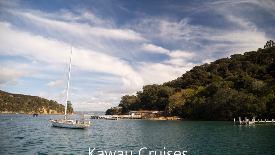Do you have a water taxi service to Kawau Island?