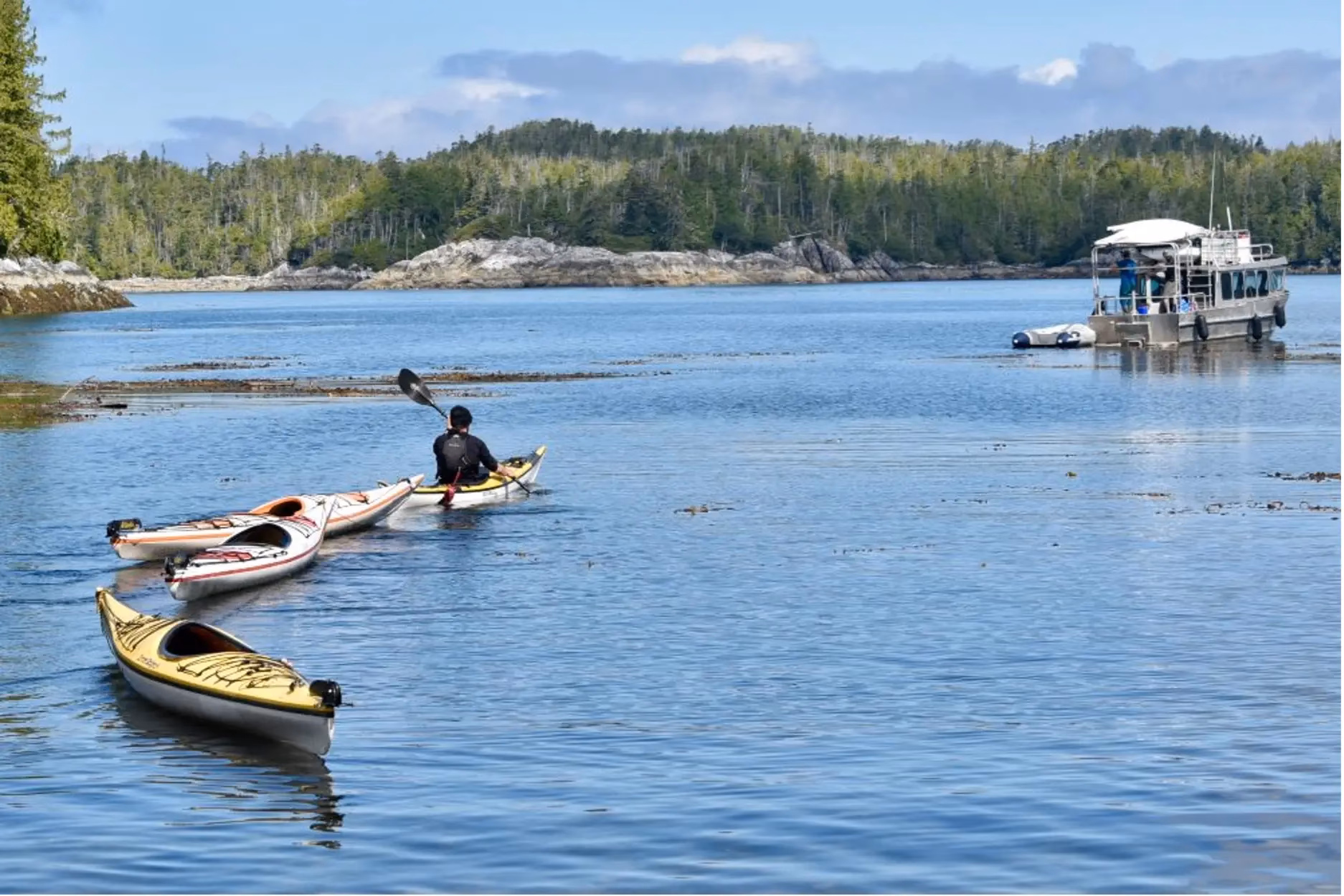 How does kayak compare flight deals?