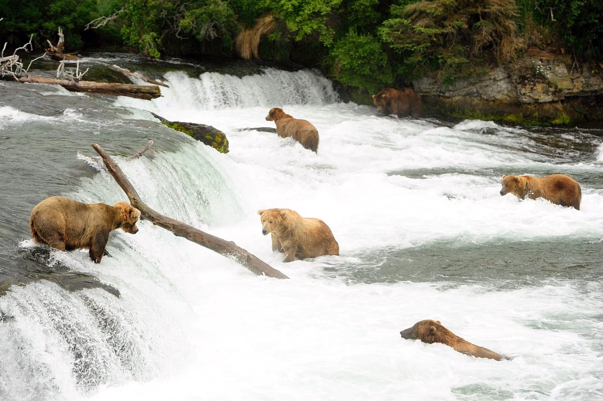 How much is extra luggage from King Salmon to Brooks Camp?