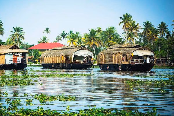 How far is Alleppey from Cochin Airport?