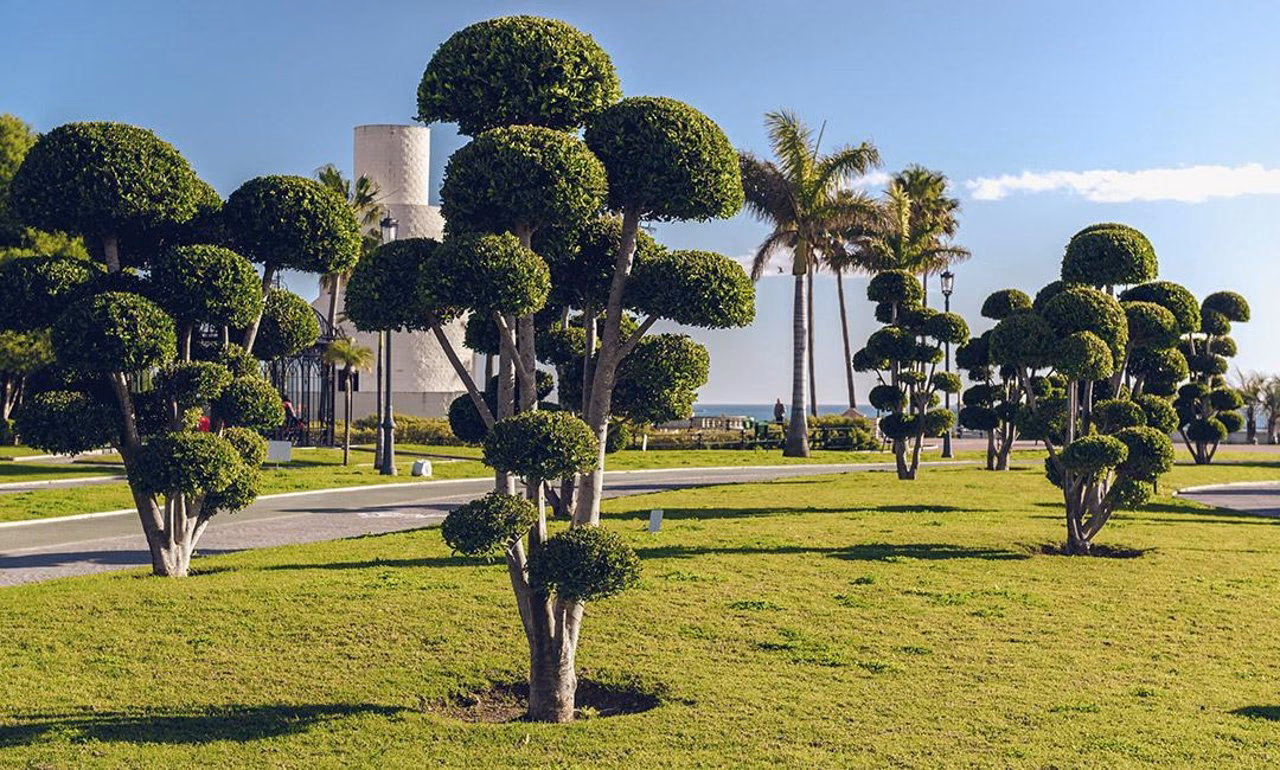 How do I get a ride from Málaga to Torremolinos?