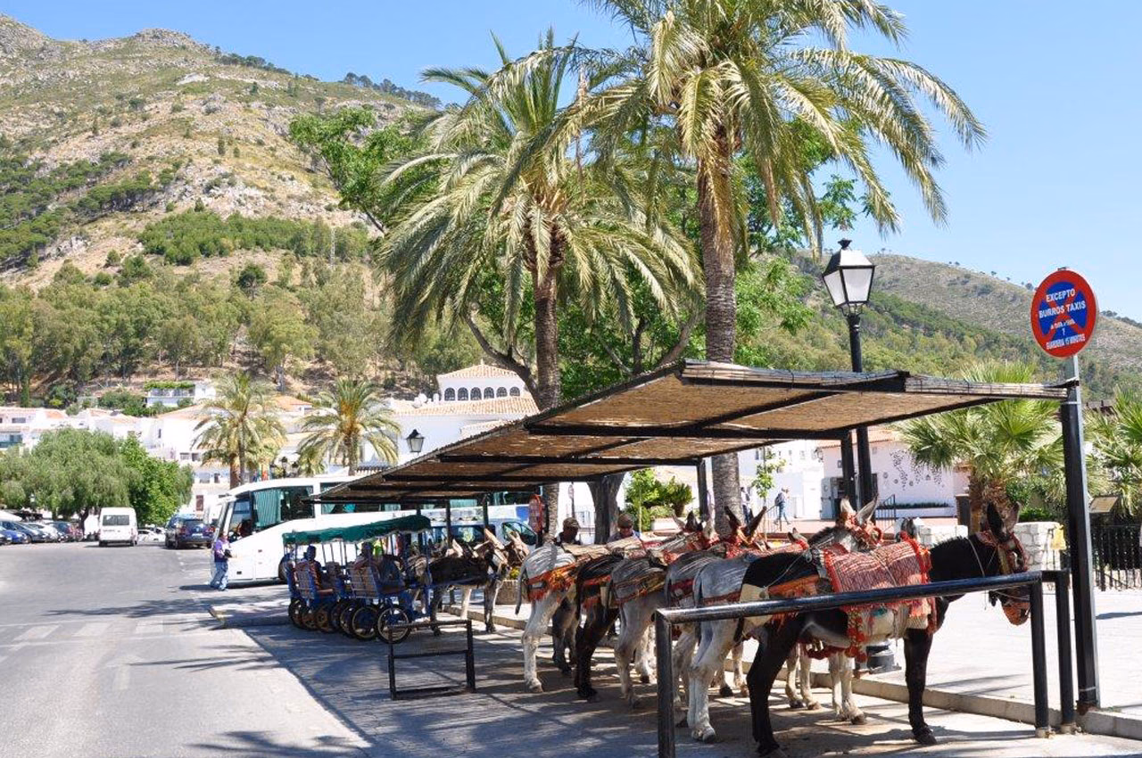 How much does a taxi cost in Mijas?