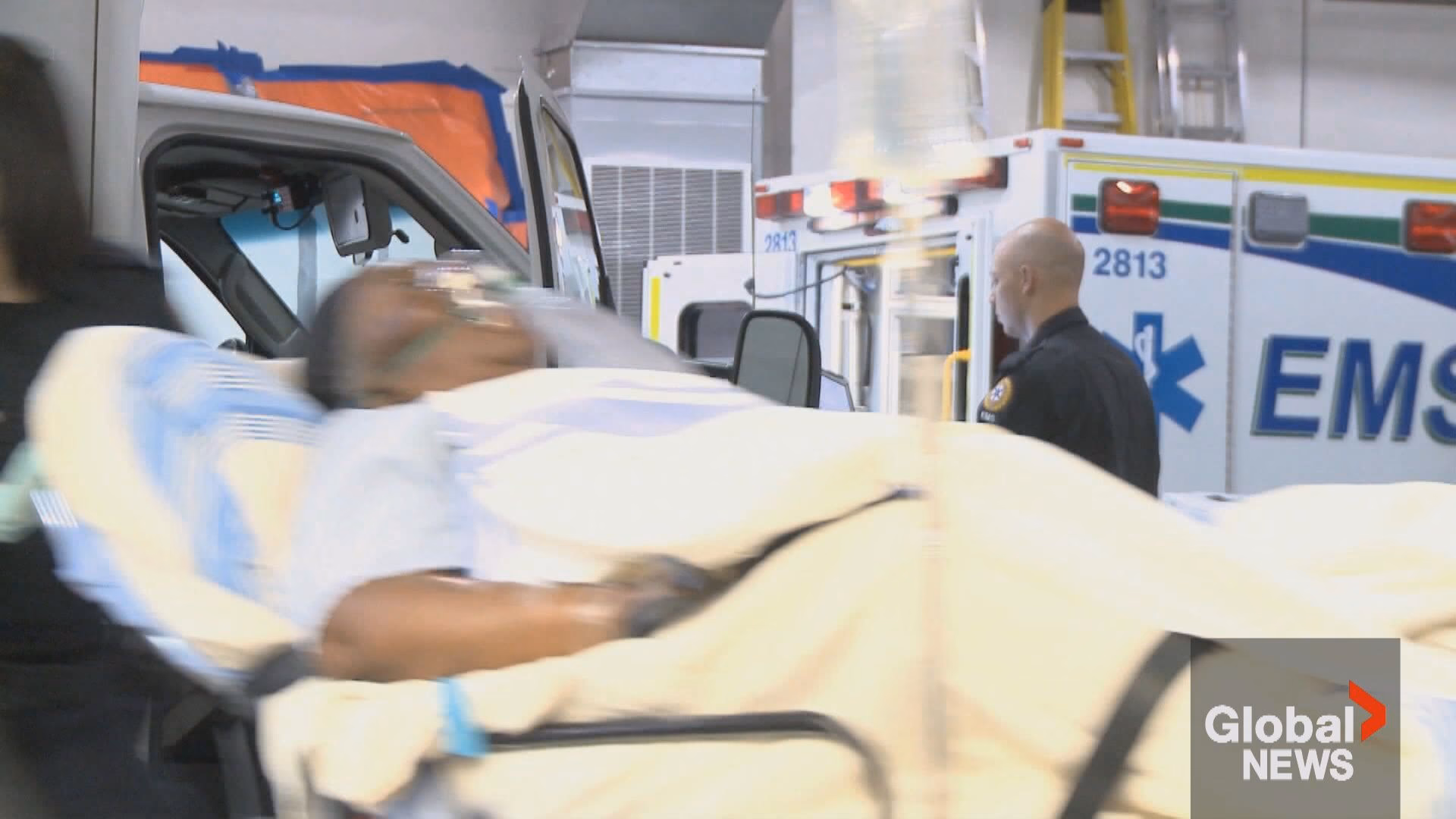 Who played the music in McVicar?