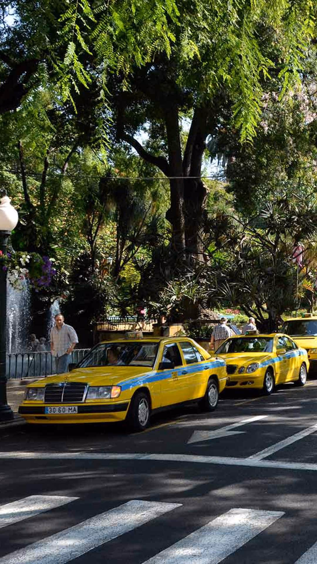 Does Madeira Airport taxis offer a child car seat?