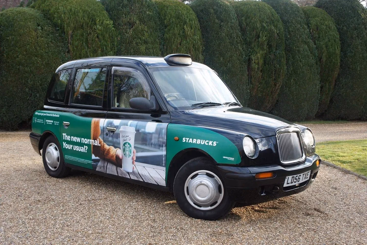 What does the green warning light on my TX4 mean?