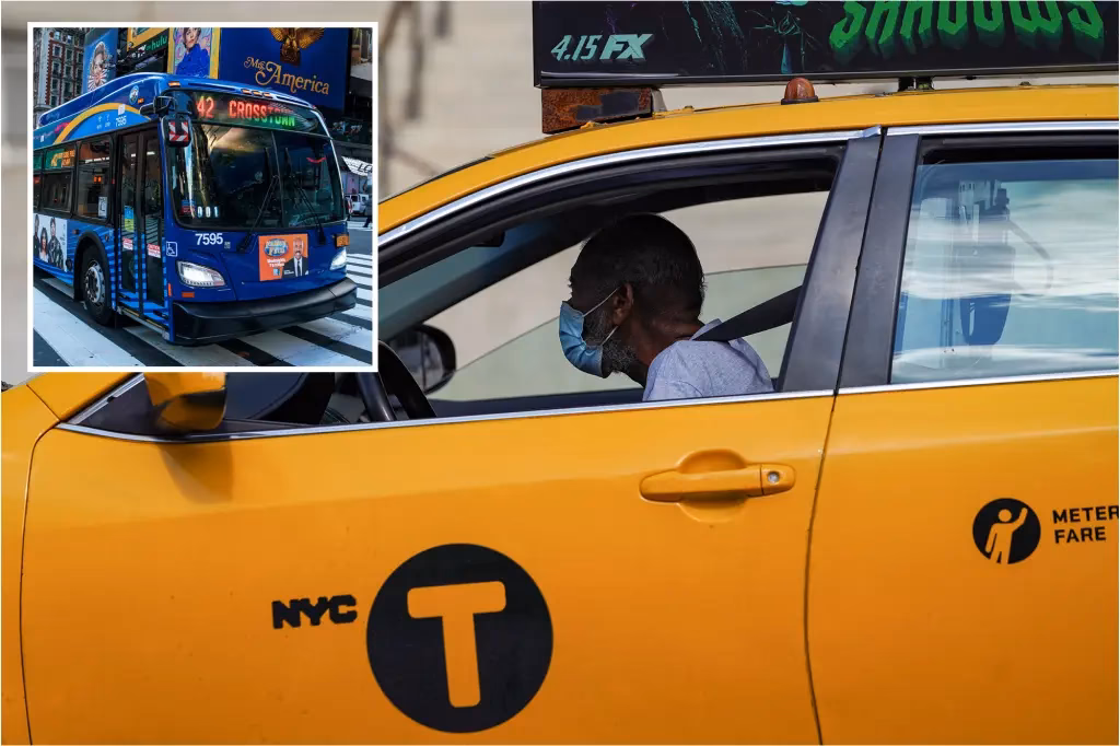 What is the MTA call-a-ride service?