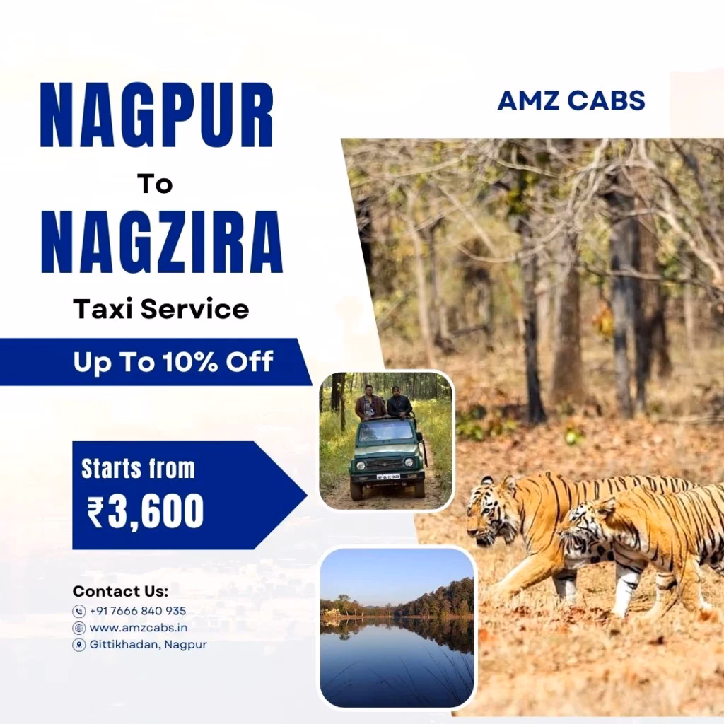 How far is Tadoba from Nagpur Airport?