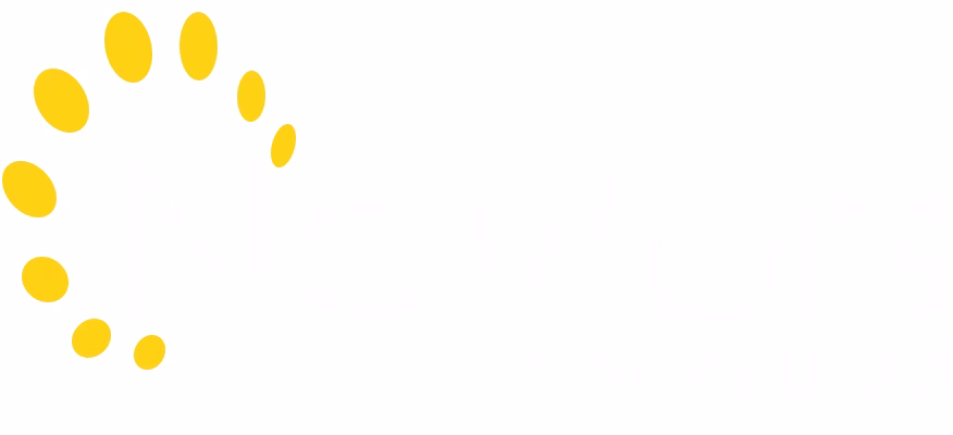 Who are Naylor's Transport Group Ltd?