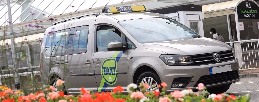 What is the role of the NTA?