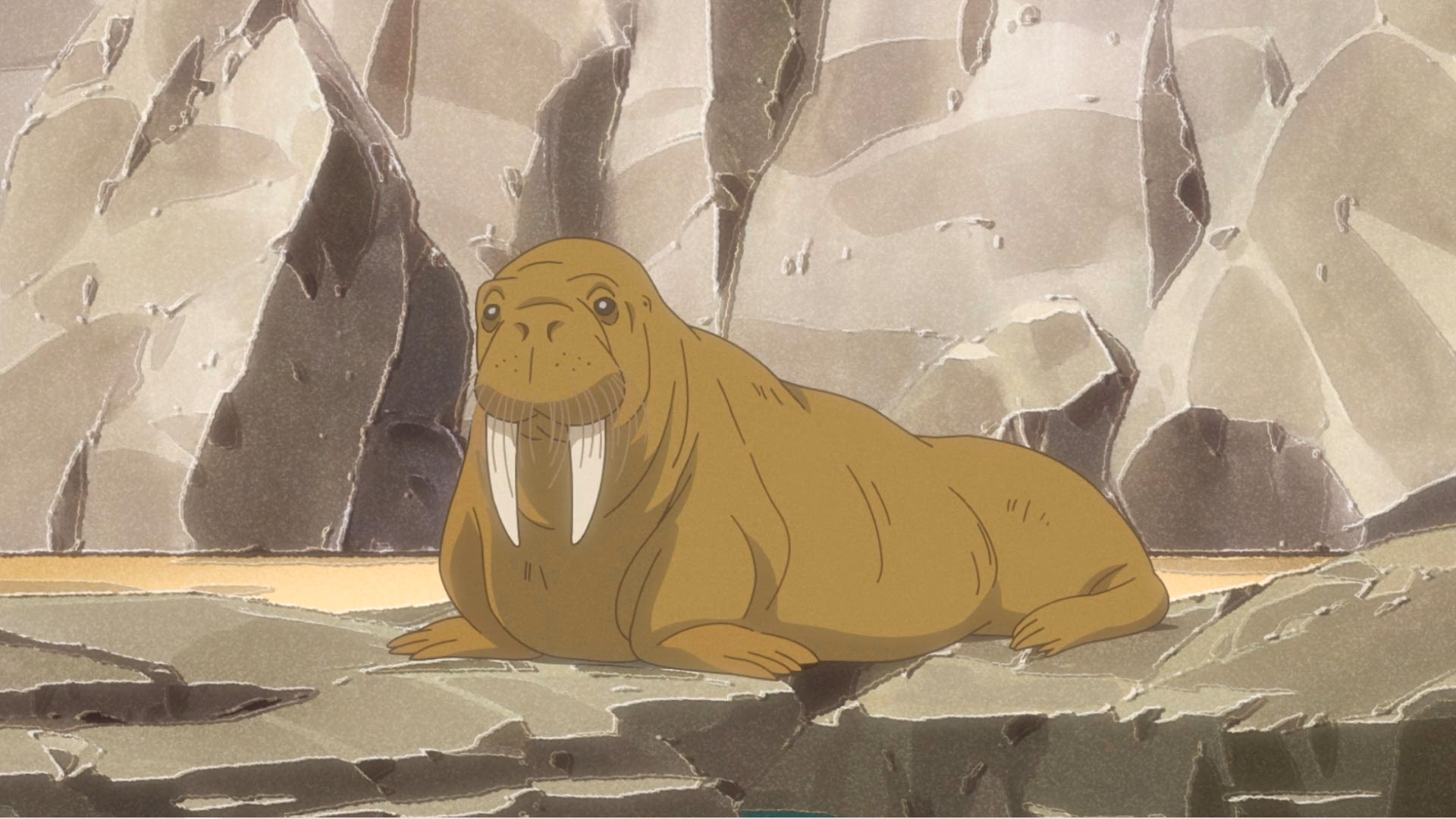 Do we need an odd taxi Cinematic Universe?