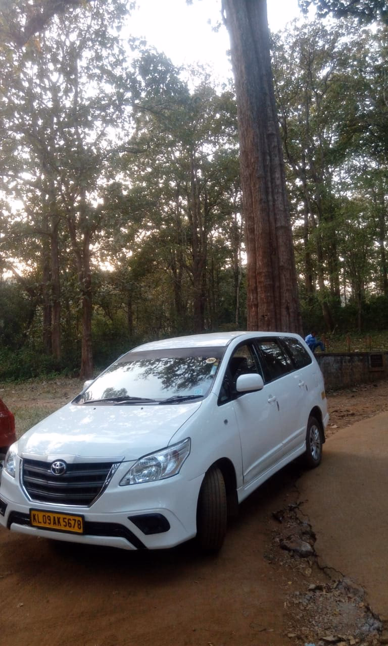 Are there any buses going from Palakkad?