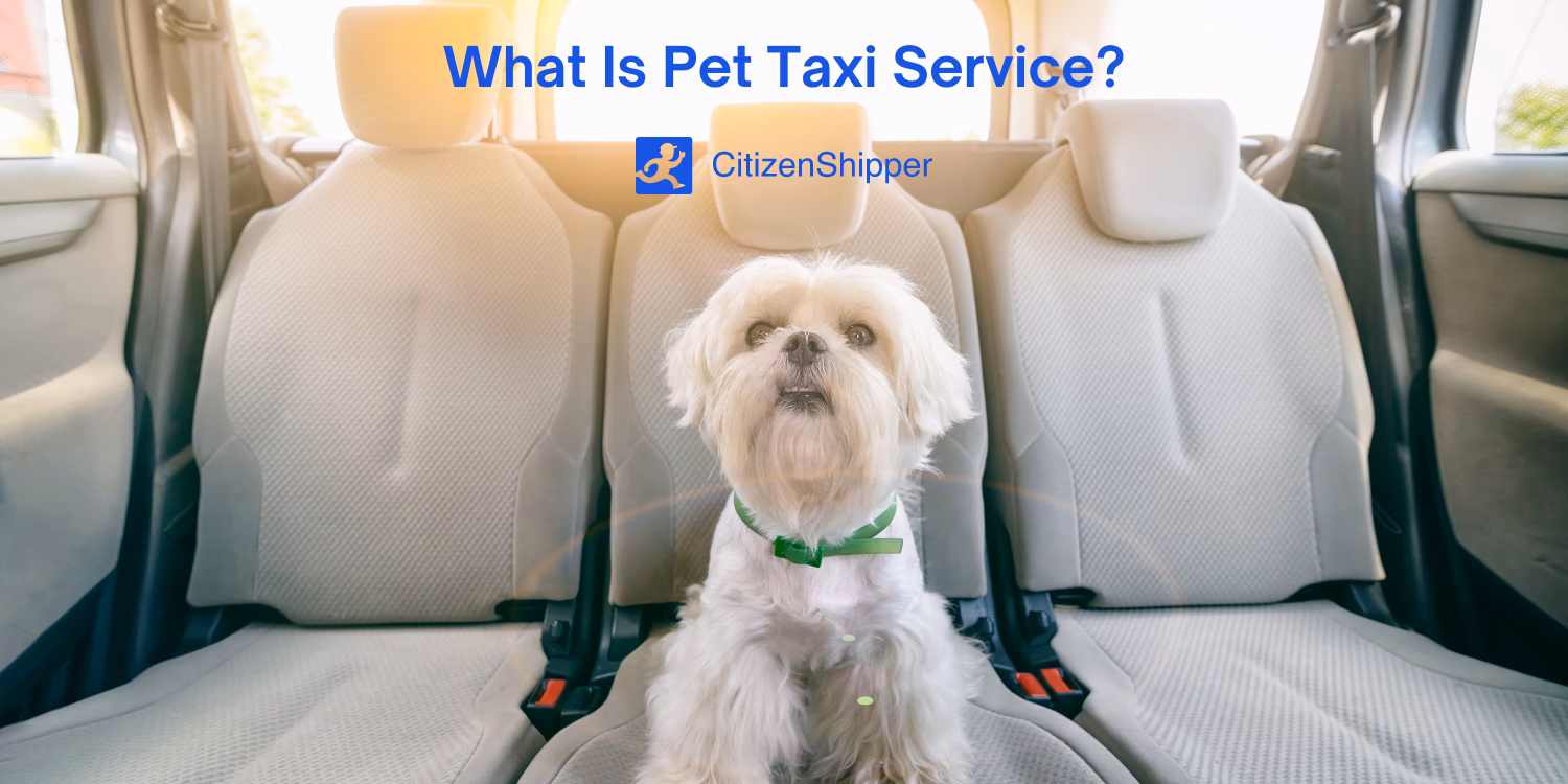 Can I hire a pet taxi?