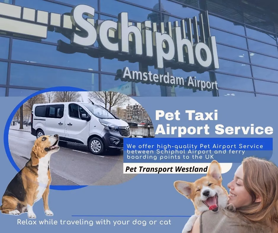 How to book pet taxi in Amsterdam Centrum?