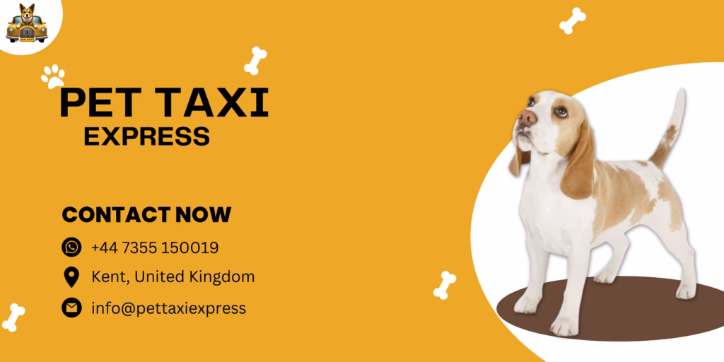 What is pet taxi service?