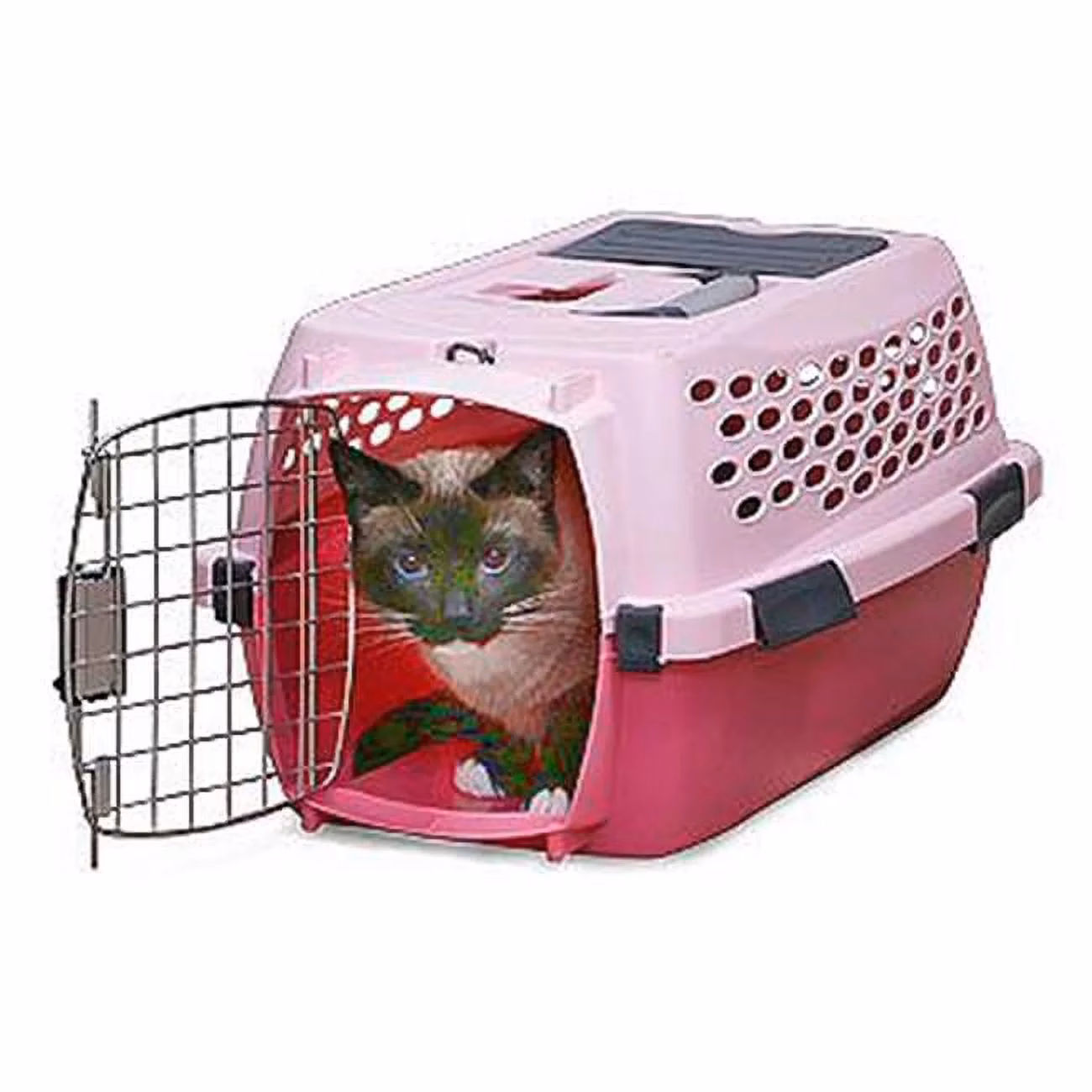 How does pet taxi express work?