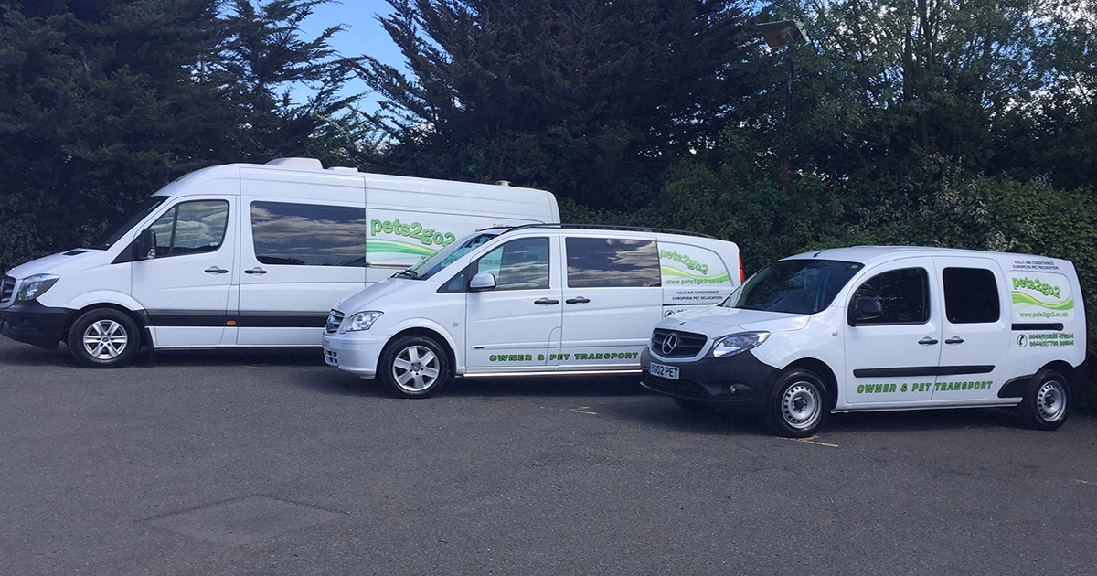 Does Shepway taxis transport dogs from Europe to the UK?