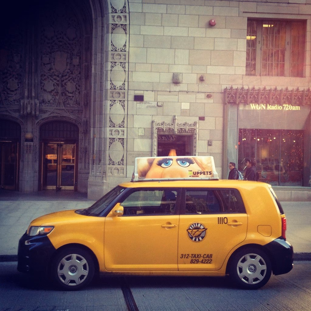 Where can I buy pigs & piglets?