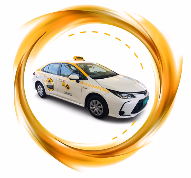 What services does platinum cars offer?