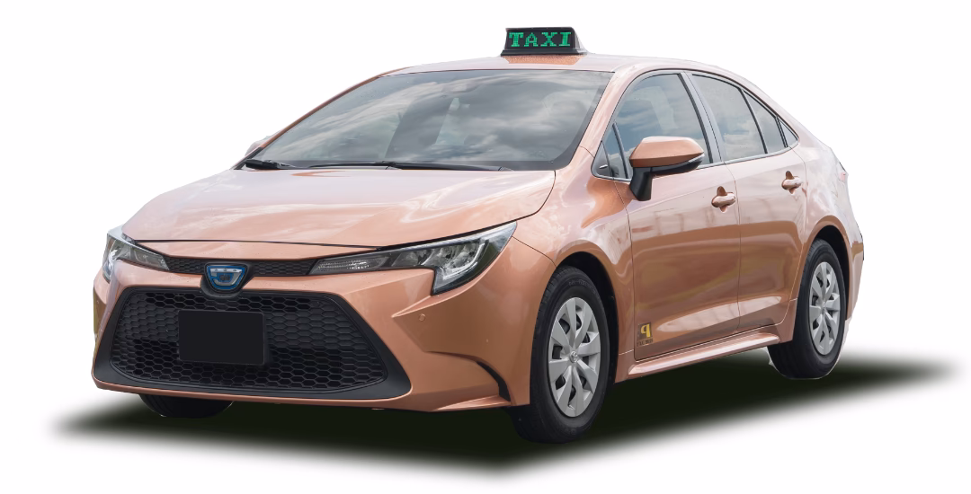 Who is prime and Section Car Rental?