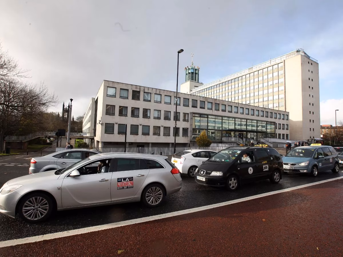 What services does a taxi rental company offer?