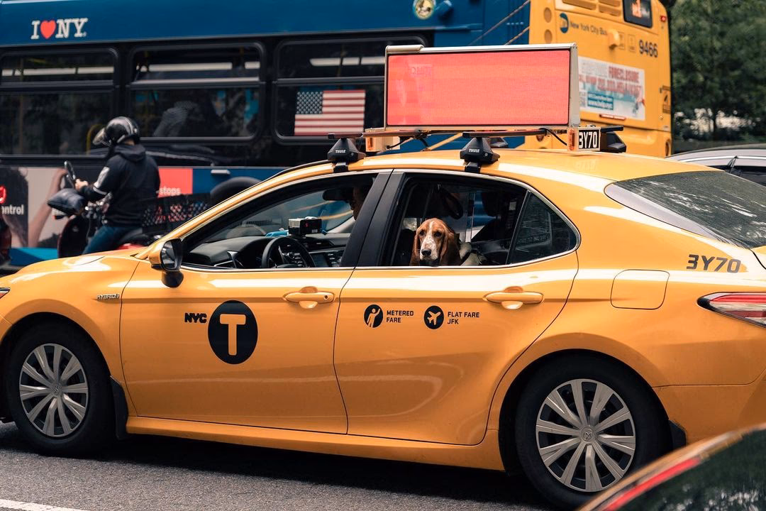 Qui sont les chauffeurs de taxi à New York ?