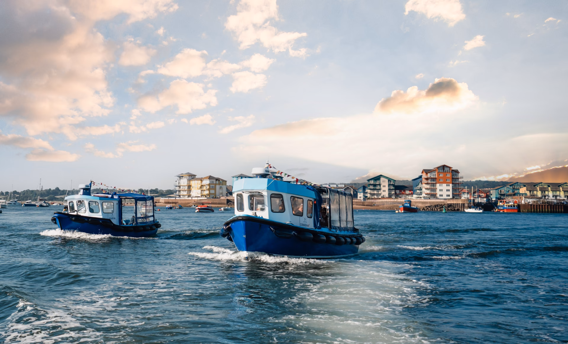 Where do the Puffin water taxis go?