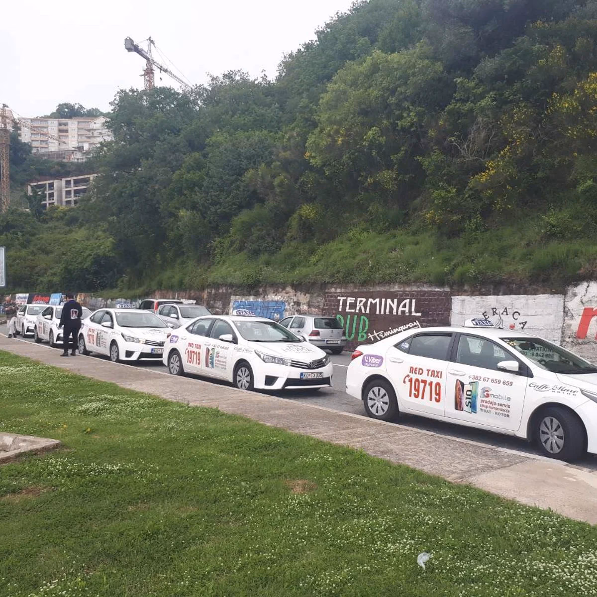 Who can hire a car at Tivat Airport?