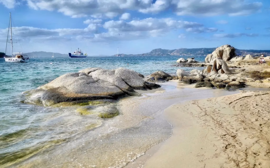 What companies run services between Palau and Olbia airport (OLB)?