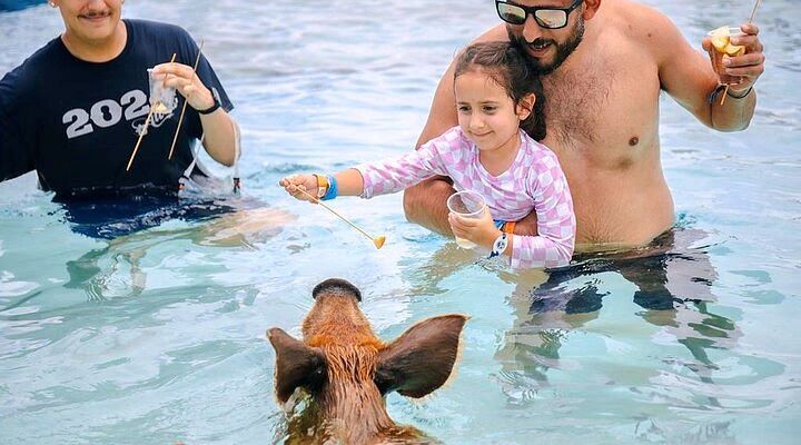 What time is the RMS system unavailable?