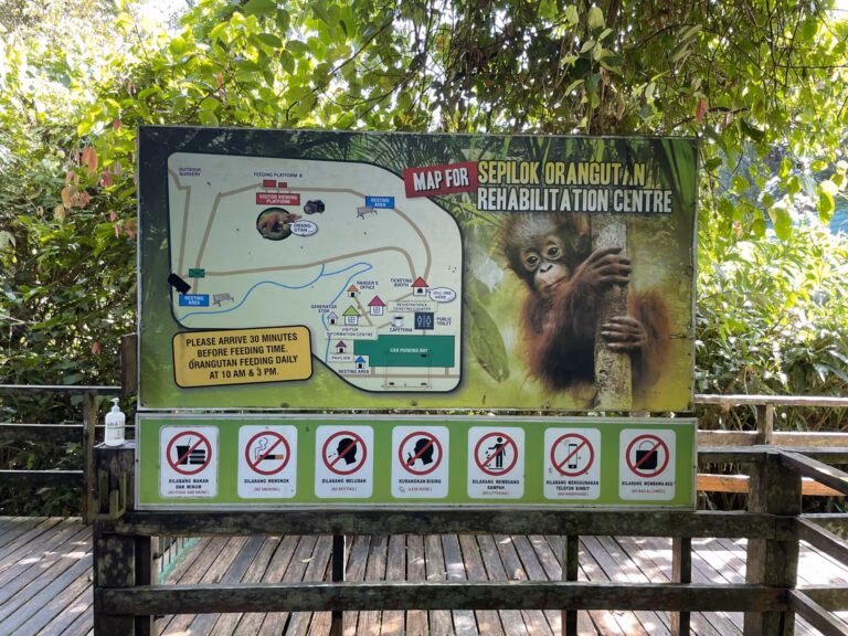 What to do in Sepilok & Sandakan?
