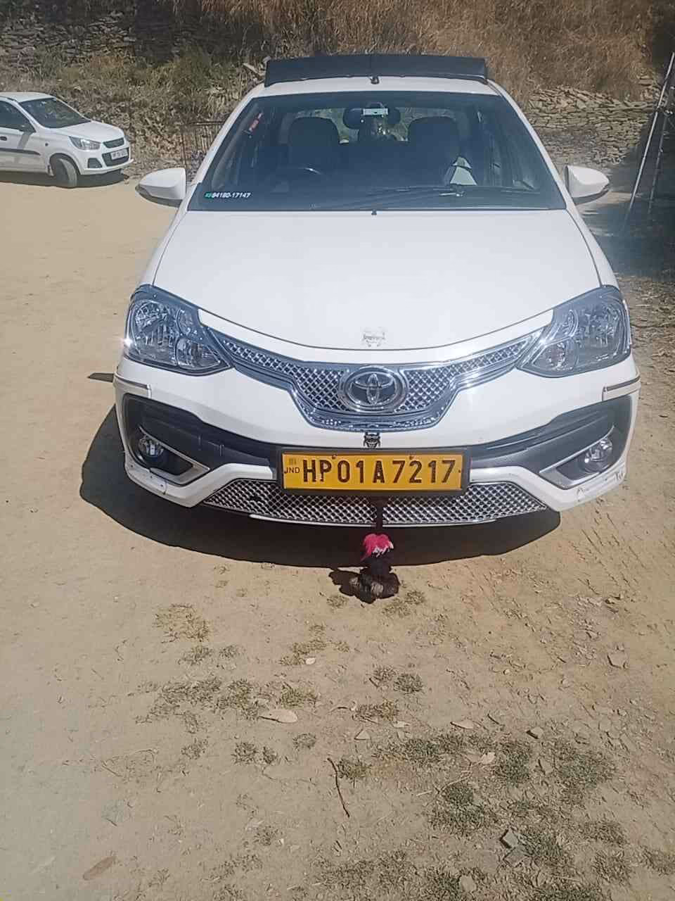 What cab services does cabbazar offer in Shimla?