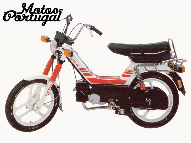 Does SIs have a 'clear strategic vision' for Greyhound Racing Ireland?