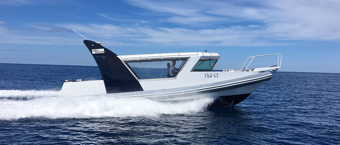 How much is a water taxi from Vela Luka to split?