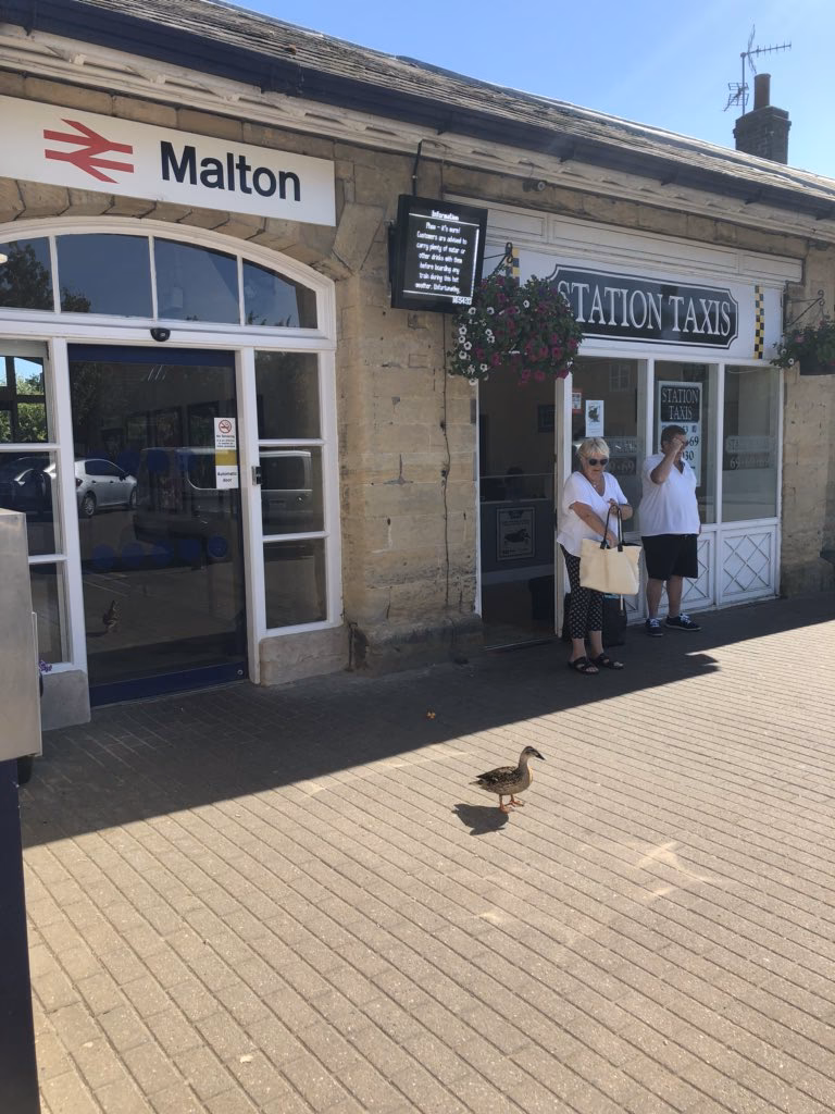 What services does station taxis offer?