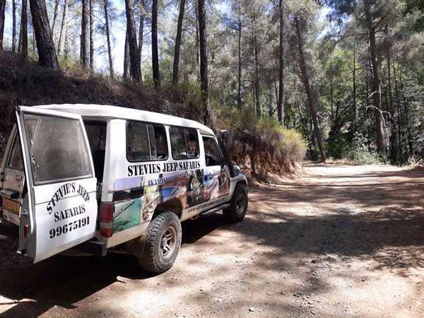 Where to buy a new phone in Paphos?